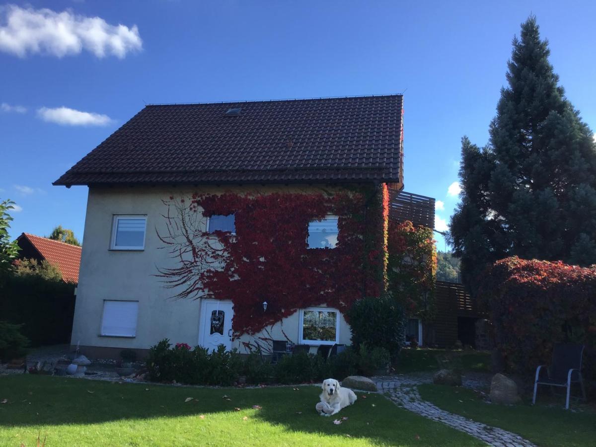 Ferienwohnung Elli Gernrode  Eksteriør billede