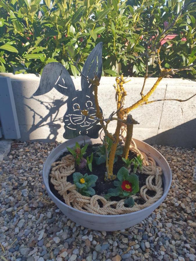 Ferienwohnung Elli Gernrode  Eksteriør billede